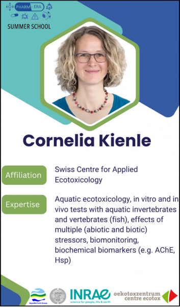 Kienle